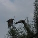 mini-IMG_1312